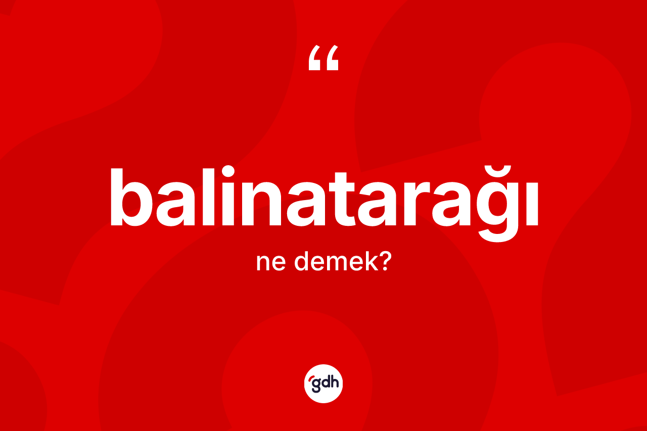 Balinatarağı kelimesi nedir? Balinatarağının TDK'ya göre anlamı nedir?