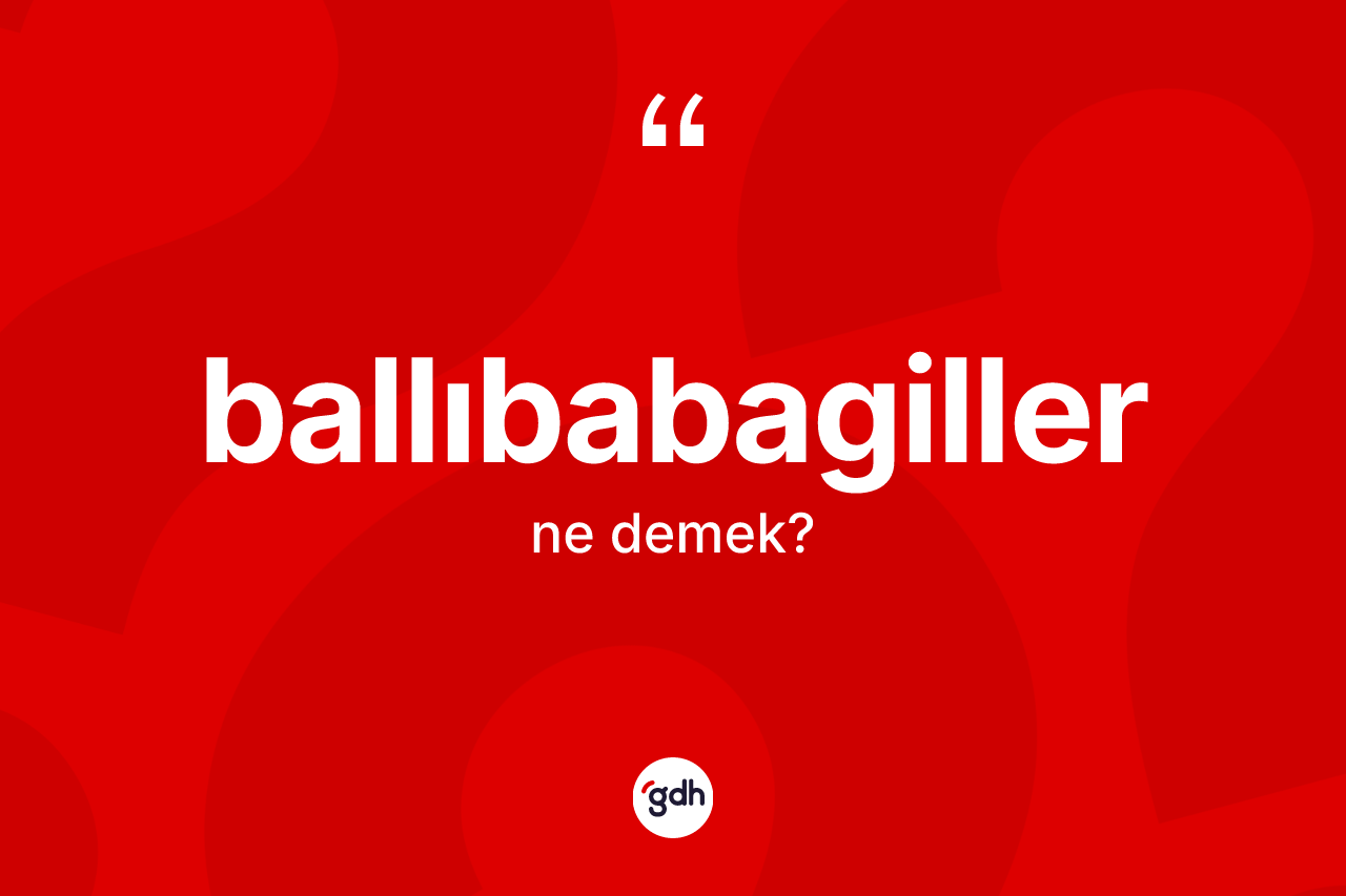 Ballıbabagiller kelimesinin tanımı nedir?