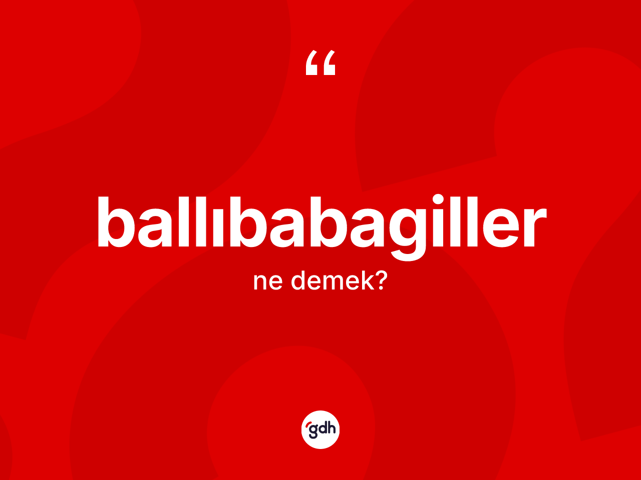 Ballıbabagiller kelimesinin tanımı nedir? Ballıbabagillerin TDK'ya göre anlamı nedir?