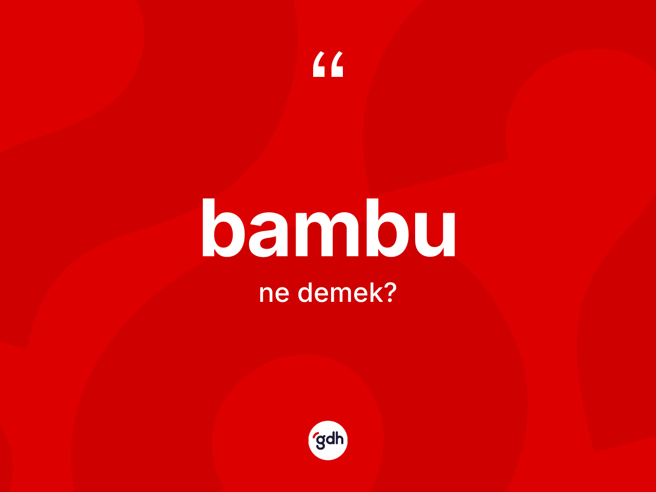 Bambu nedir? Bambunun TDK'ya göre anlamı nedir?