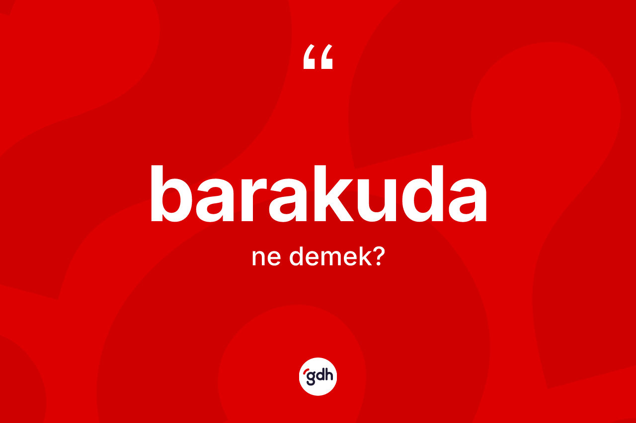 Barakuda kelimesi ne demek?