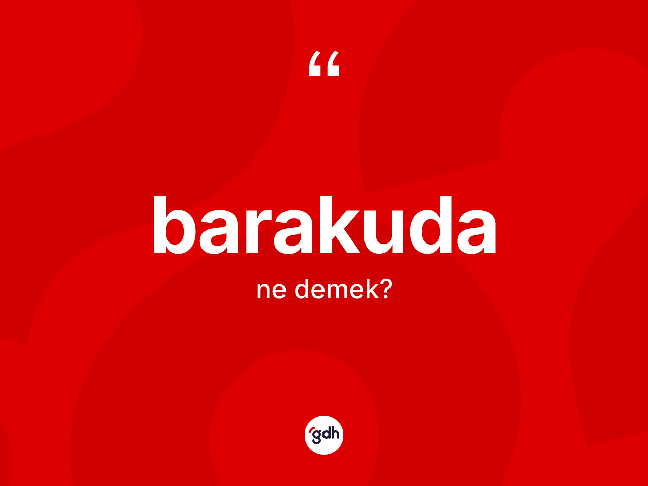 Barakuda kelimesi ne demek? Barakudanın sözlükteki anlamı nedir?