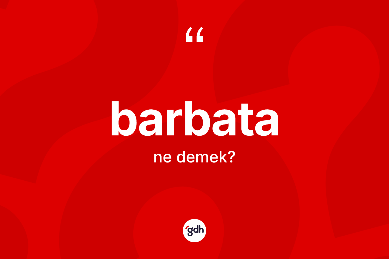 Barbata nedir? Barbatanın sözlükteki anlamı nedir?