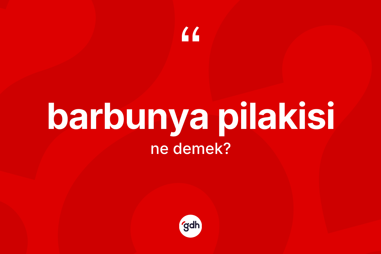 Barbunya pilakisi ne demek?