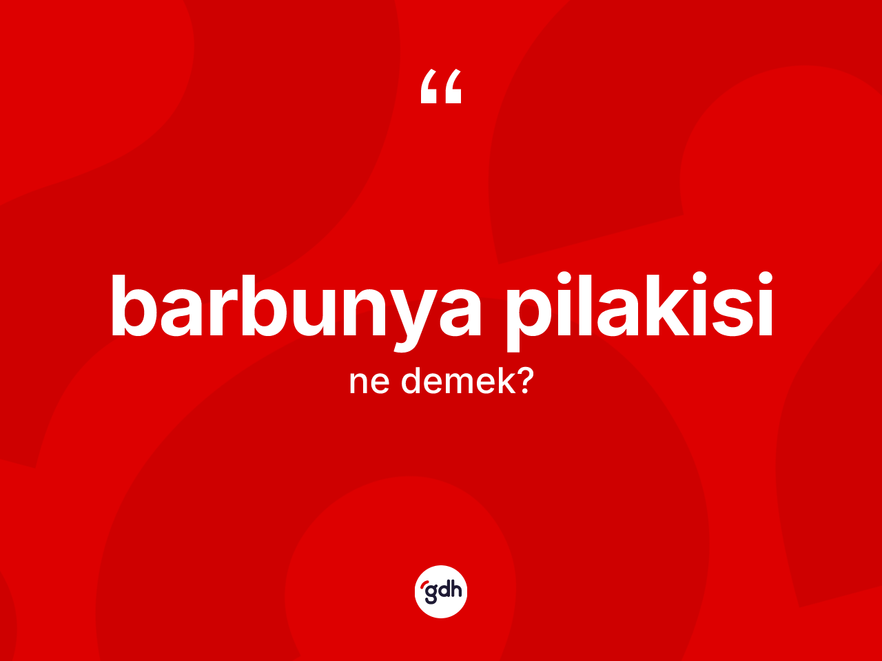 Barbunya pilakisi ne demek? Barbunya pilakisi kelimesinin TDK anlamı nedir?