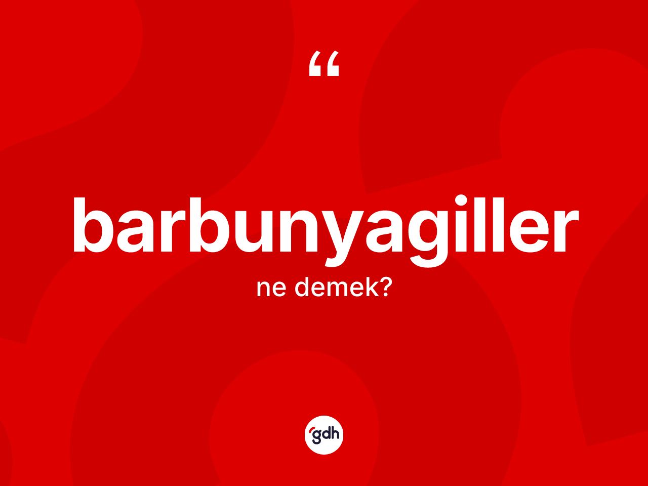 Barbunyagiller kelimesi ne anlama gelir? Barbunyagillerin halk arasındaki kullanımı nasıldır?
