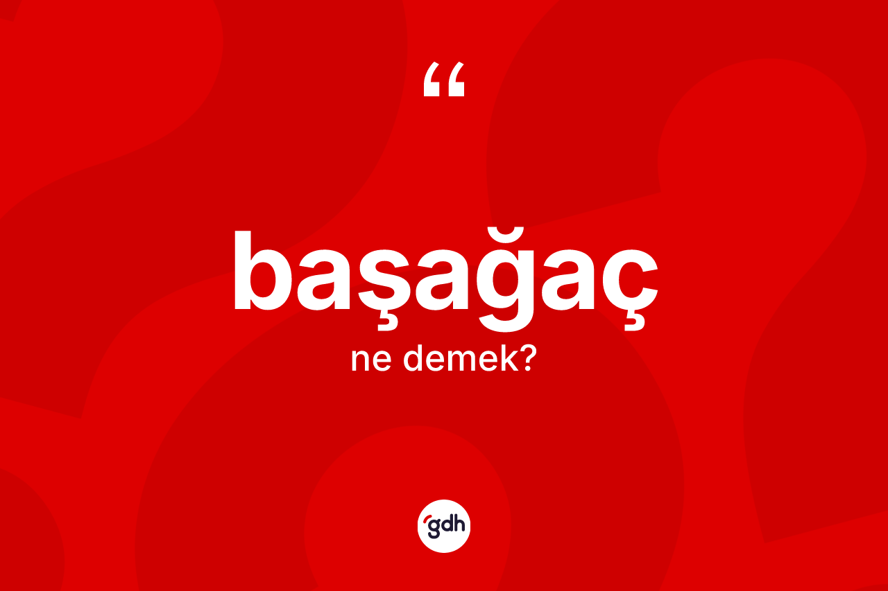 Başağaç kelimesinin sözlükteki tanımı nedir? Başağaç kelimesinin TDK'ya göre açıklaması nedir?