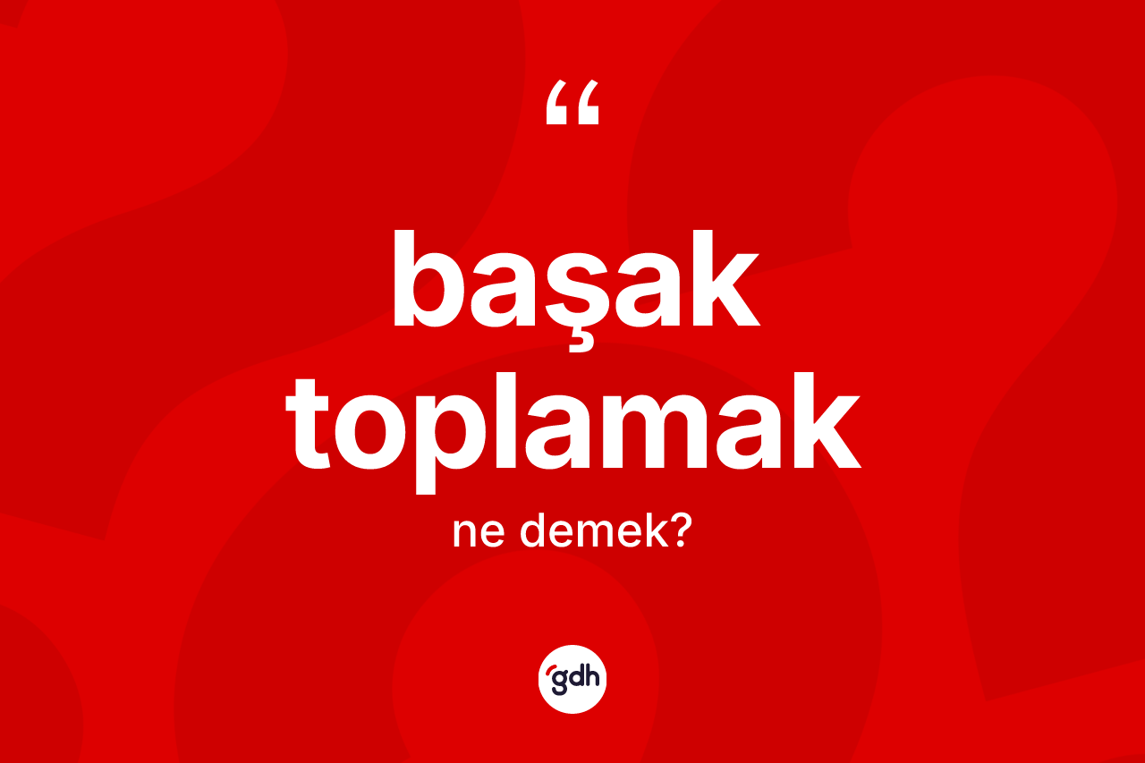 Başak toplamak sözü neyi anlatır? Başak toplamak ifadesinin TDK açıklaması nedir?