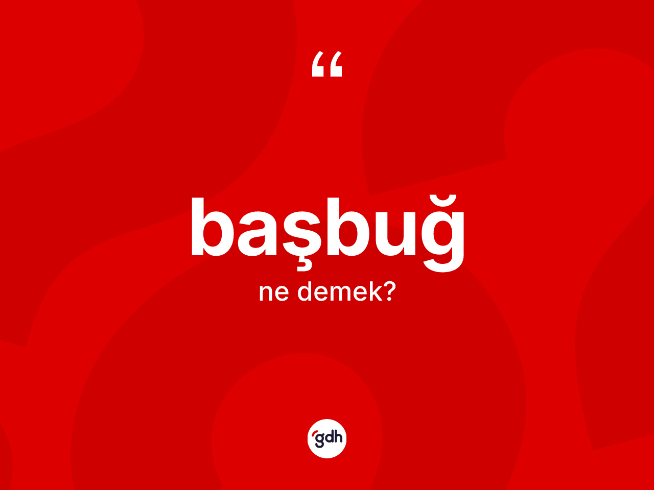 Başbuğ ne demek? Başbuğ kelimesinin kaç farklı anlamı var?
