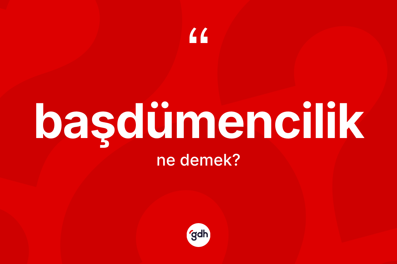 Başdümencilik kelimesi ne anlama gelir? Başdümencilik kelimesinin kaç farklı anlamı var?