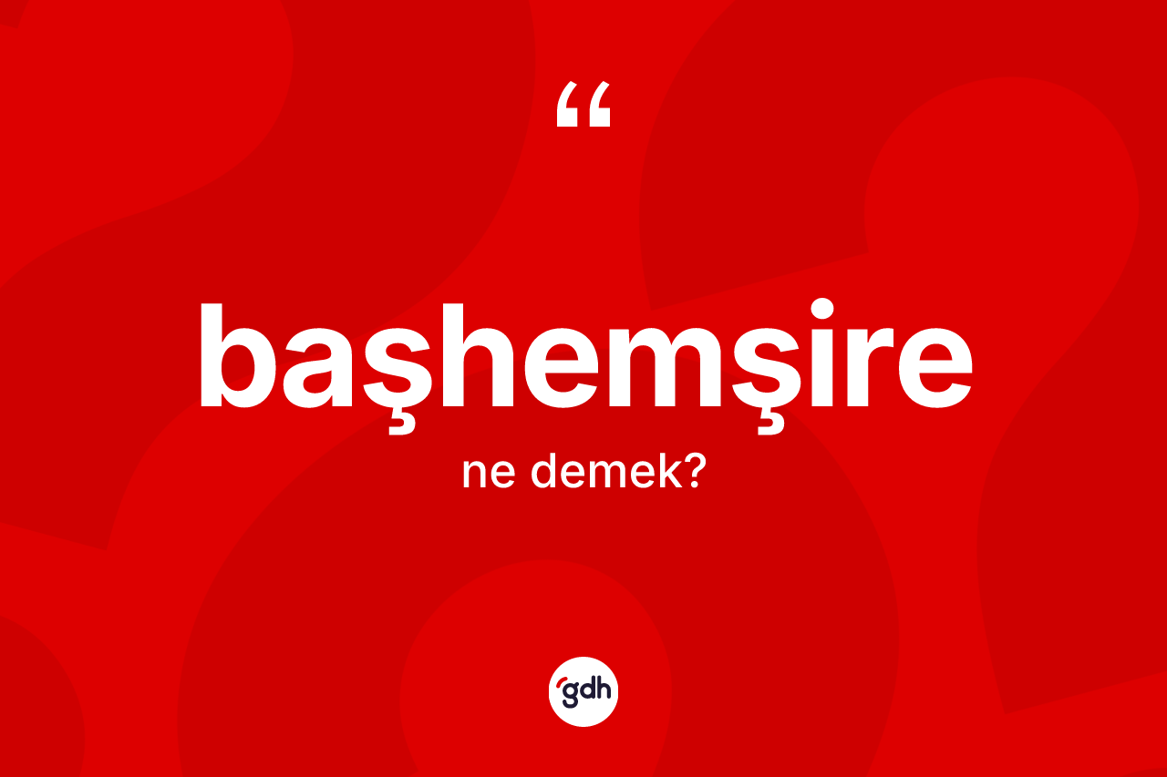 Başhemşire kelimesi ne demek?