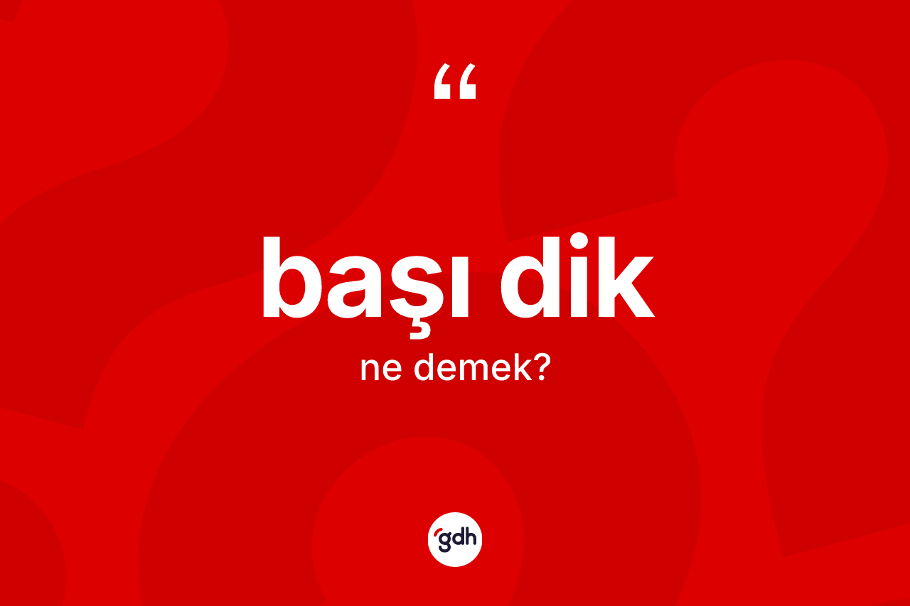 Başı dik kelimesinin tanımı nedir?