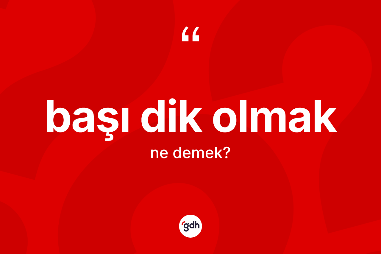 Başı dik olmak ne demektir? Başı dik olmak ifadesi hangi durumlarda kullanılır?