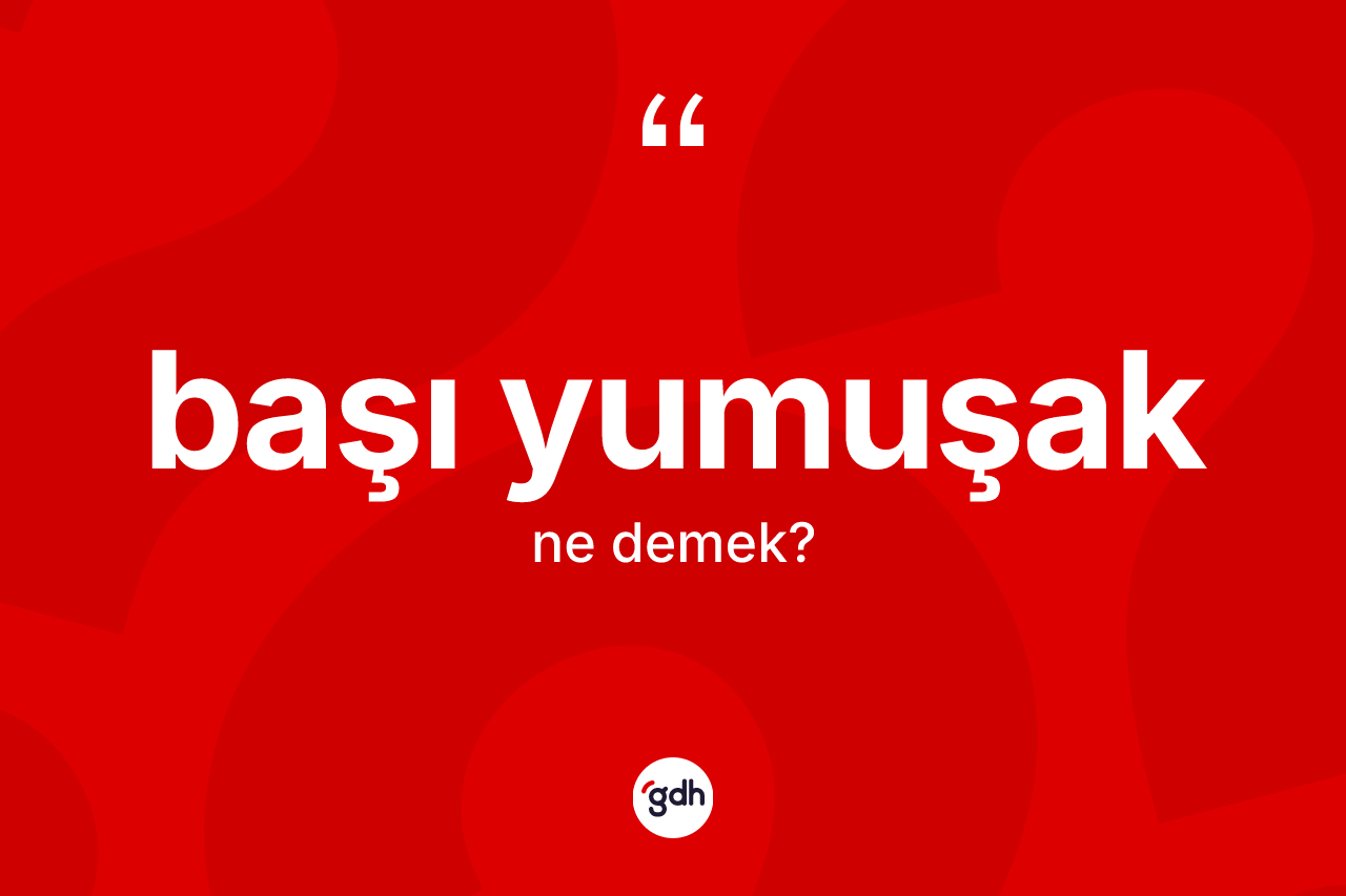 Başı yumuşak kelimesinin sözlükteki tanımı nedir? Başı yumuşağın kısaca tanımı nedir?