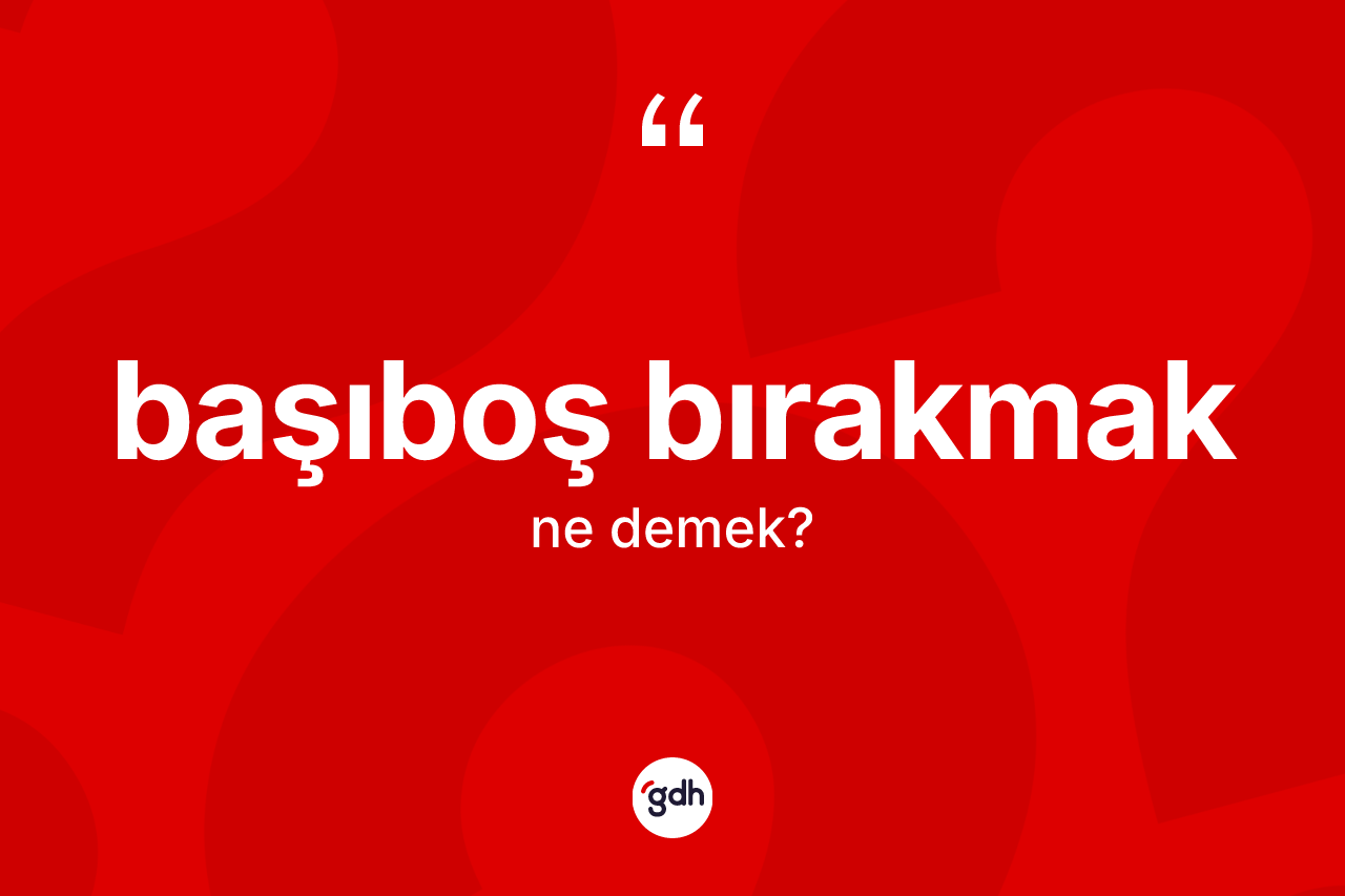 Başıboş bırakmak ifadesinin kısaca anlamı nedir? Başıboş bırakmak sözü nerede kullanılır?