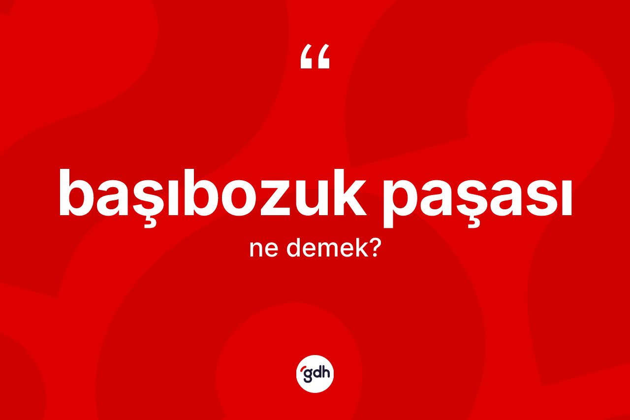 Başıbozuk paşası kelimesinin anlamı nedir?