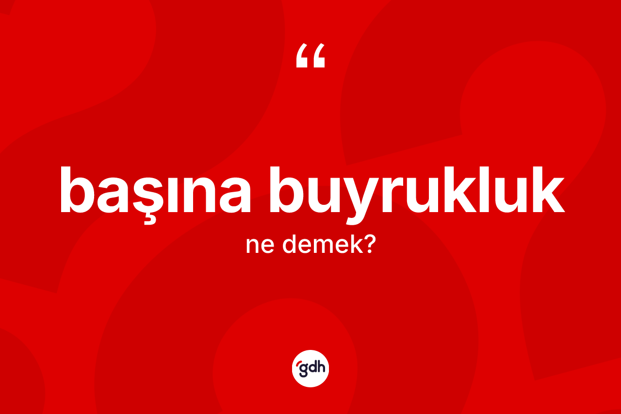 Başına buyrukluk kelimesinin sözlükteki tanımı nedir? Başına buyrukluğun kısaca tanımı nedir?