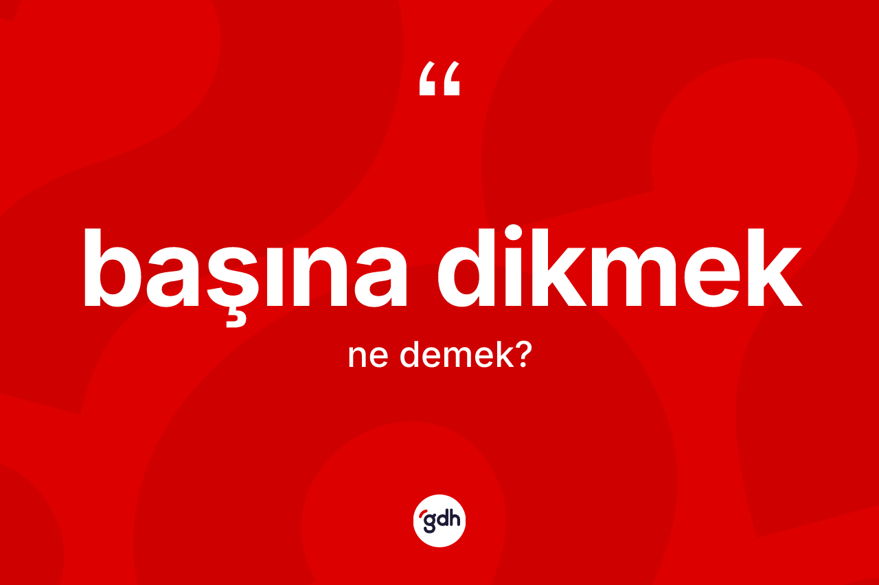 Başına dikmek ne anlama gelir?
