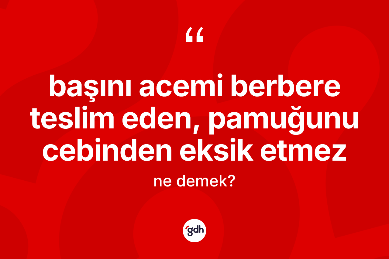 Başını acemi berbere teslim eden, pamuğunu cebinden eksik etmez ifadesinin anlamı nedir?