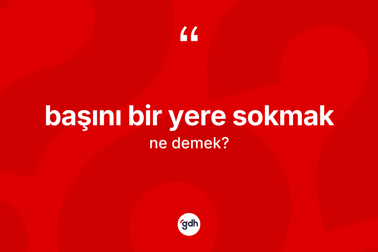 Başını bir yere sokmak ifadesi ne demek? Başını bir yere sokmak sözünün TDK anlamı nedir?