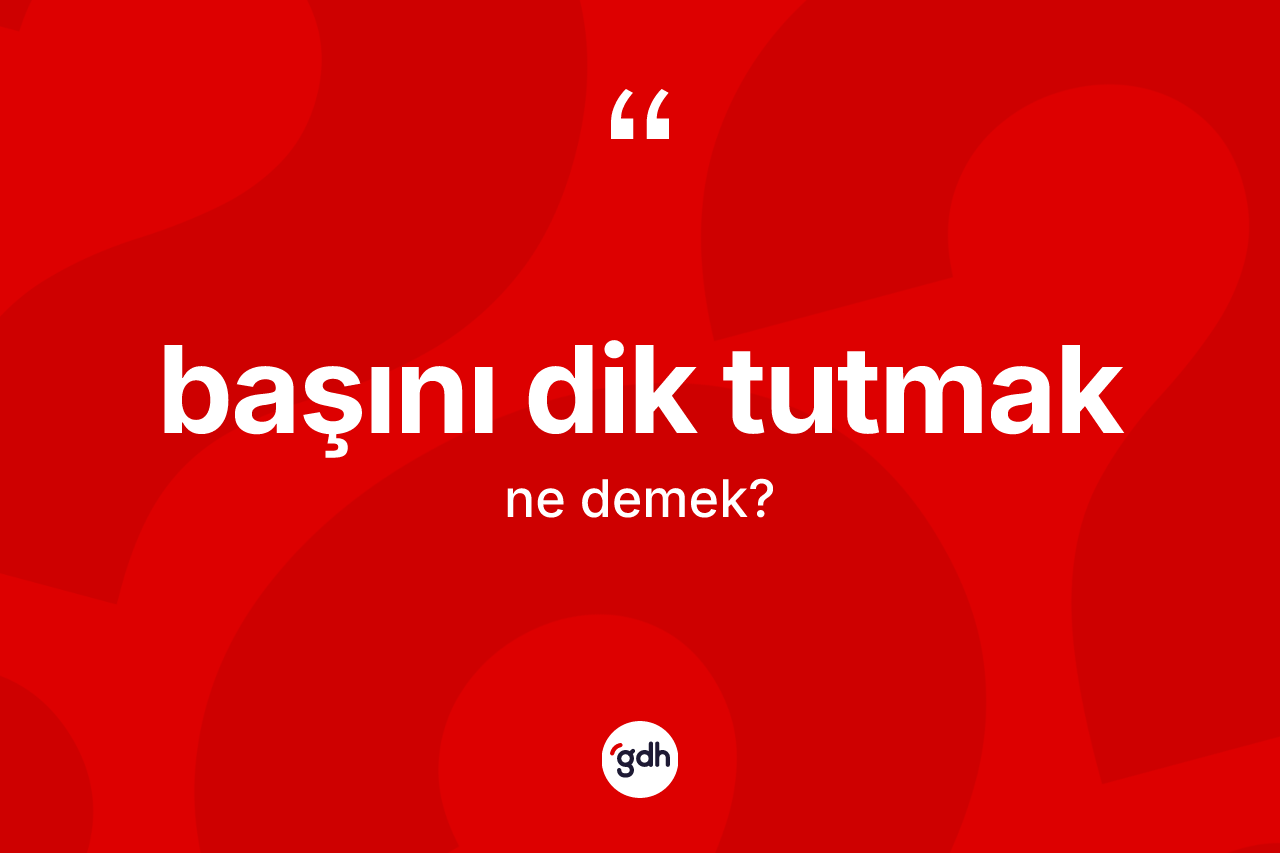 Başını dik tutmak ifadesinin sözlükteki anlamı nedir? Başını dik tutmak ifadesi nerede kullanılır?