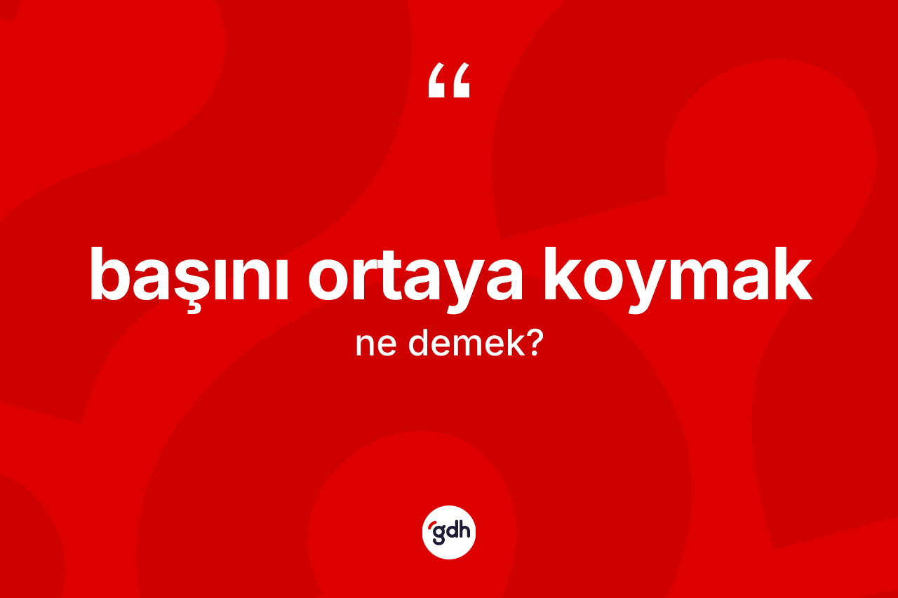 Başını ortaya koymak ifadesinin anlamı nedir? Başını ortaya koymak ifadesi nerede kullanılır?