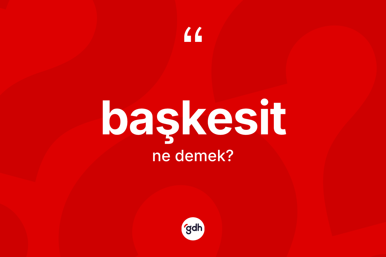 Başkesit kelimesinin anlamı nedir? Başkesitin TDK'ya göre anlamı nedir?