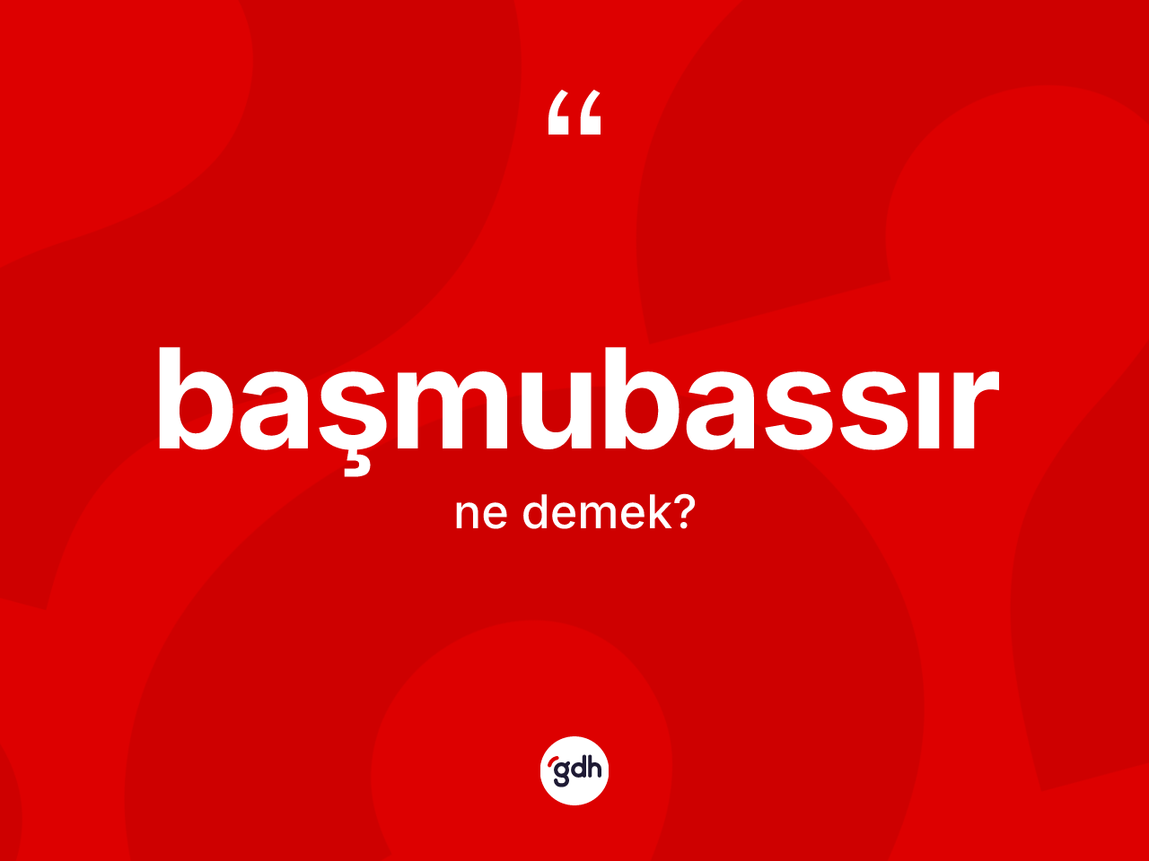 Başmubassır kelimesinin tanımı nedir? Başmubassırın TDK'ya göre anlamı nedir?