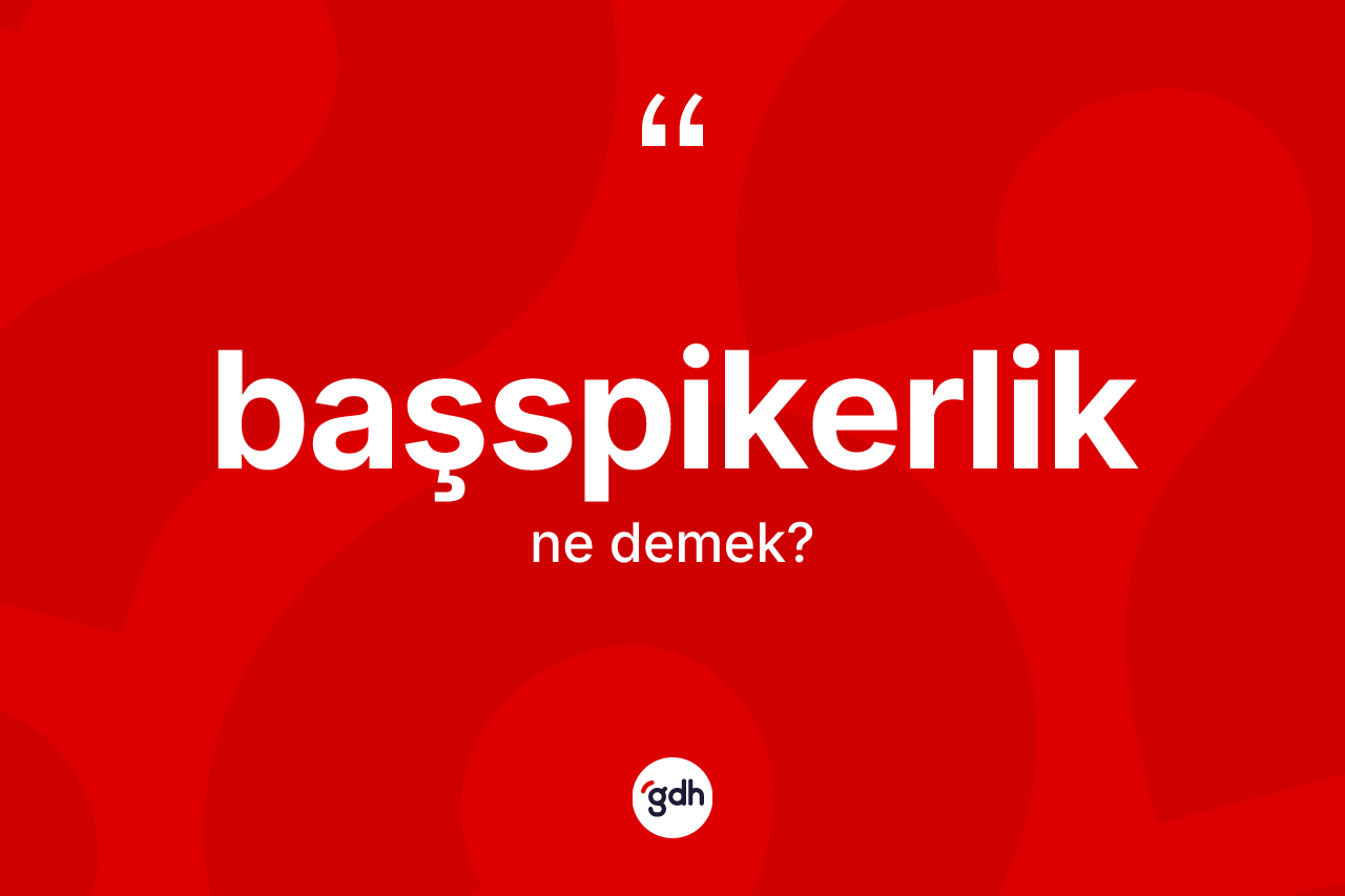 Başspikerlik kelimesinin anlamı nedir? Başspikerlik kelimesinin kaç farklı anlamı var?