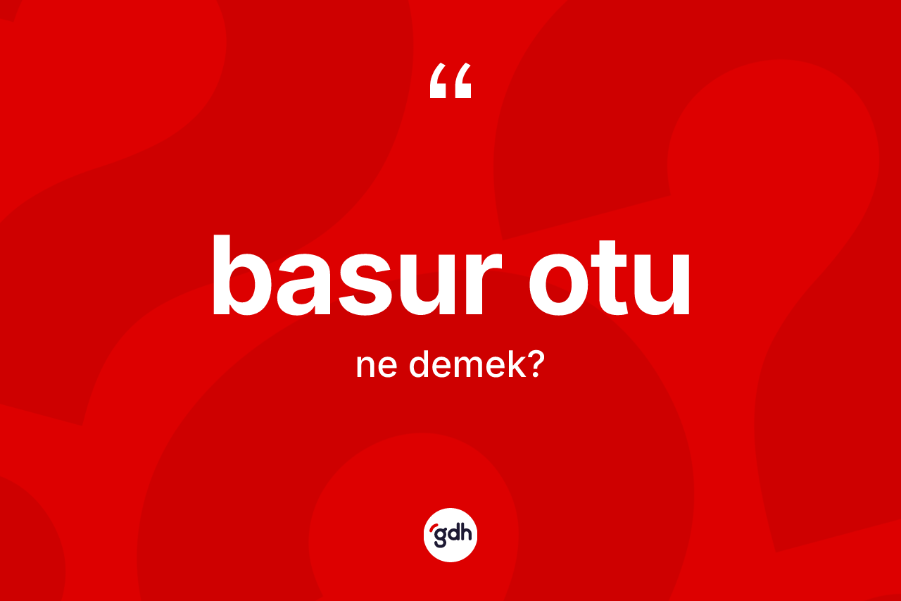Basur otu kelimesi ne demek?
