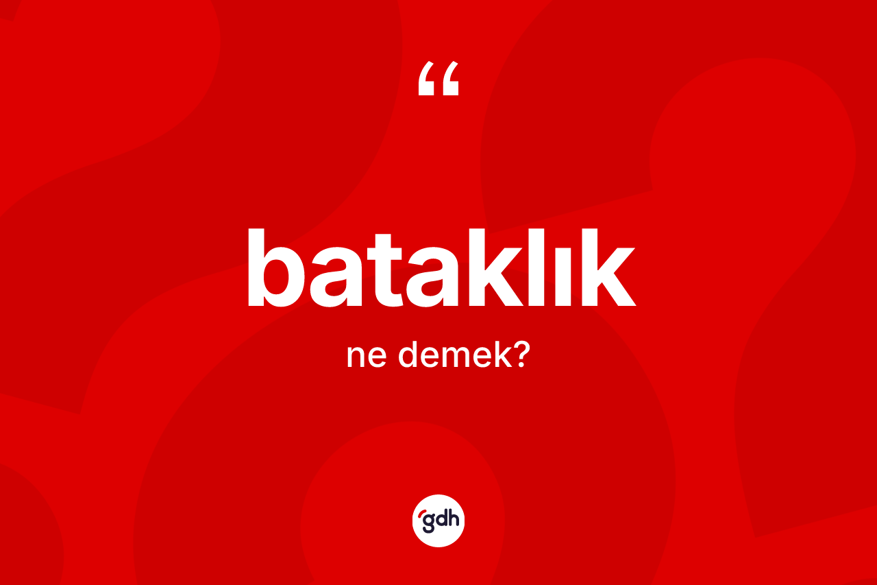 Bataklık kelimesinin tanımı nedir? Bataklığın TDK'ya göre anlamı nedir?