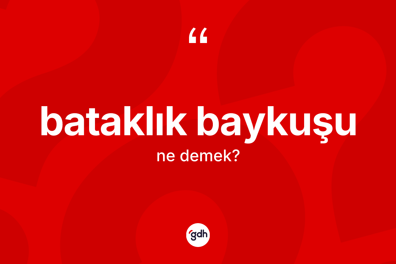 Bataklık baykuşu kelimesi ne anlama gelir? Bataklık baykuşunun TDK'ya göre anlamı nedir?