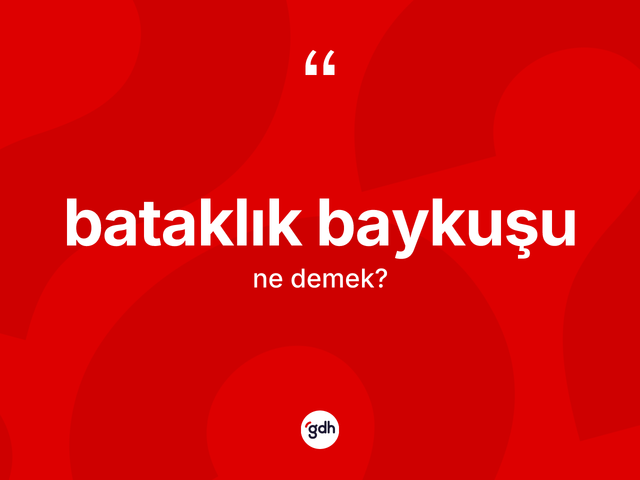 Bataklık baykuşu kelimesi ne anlama gelir? Bataklık baykuşunun TDK'ya göre anlamı nedir?