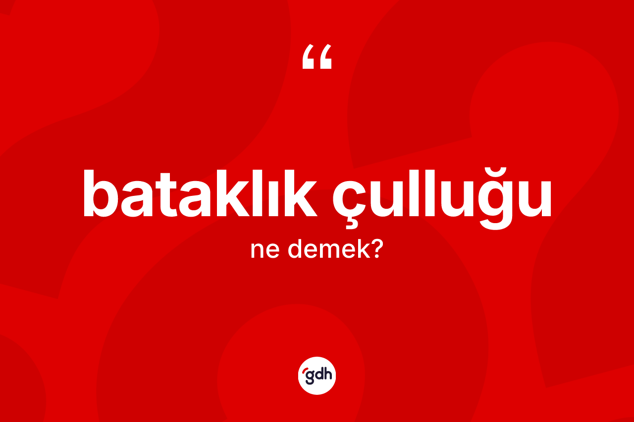 Bataklık çulluğu kelimesinin anlamı nedir? Bataklık çulluğu kelimesinin TDK anlamı nedir?