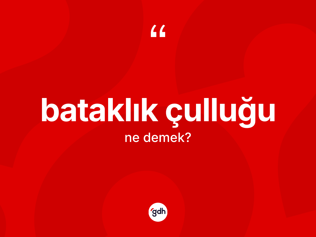 Bataklık çulluğu kelimesinin anlamı nedir? Bataklık çulluğu kelimesinin TDK anlamı nedir?