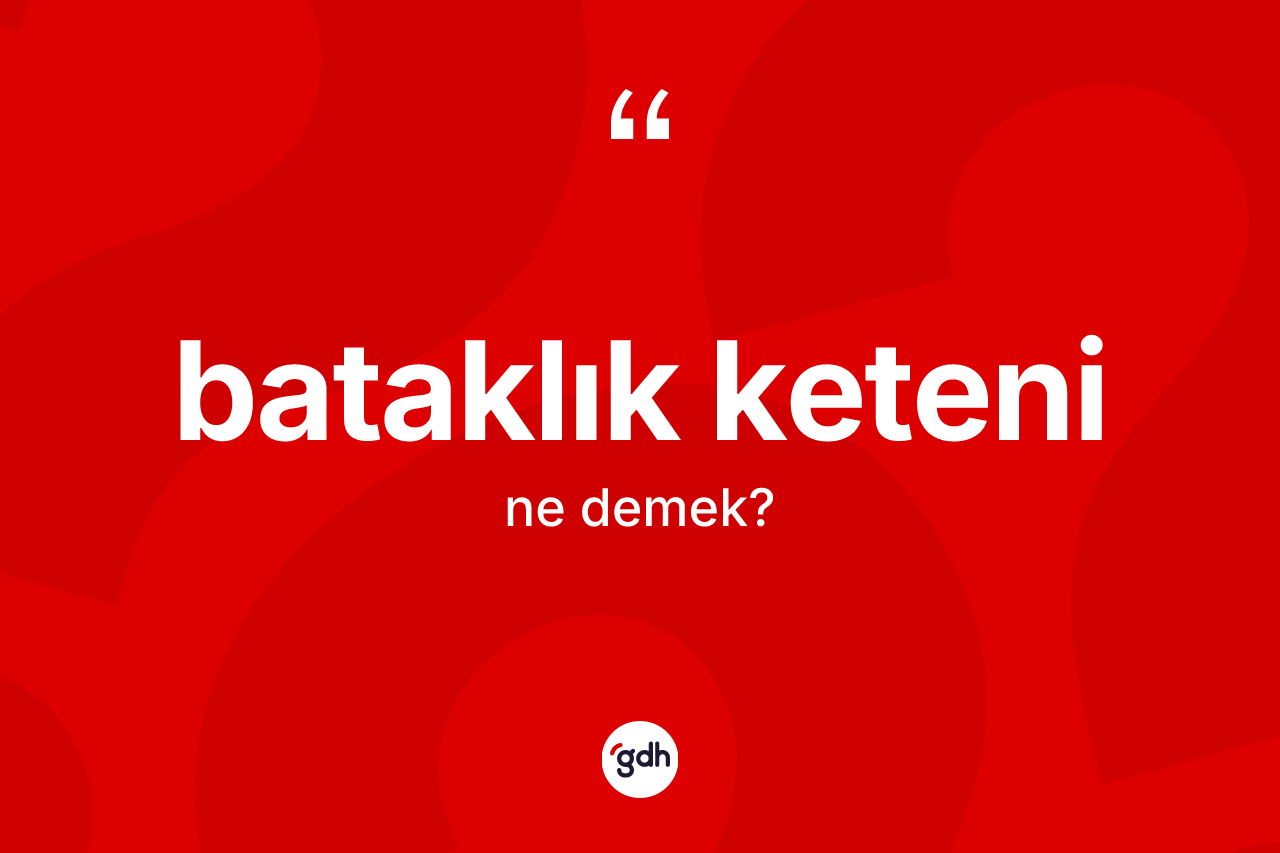 Bataklık keteni ne demek? Bataklık keteninin TDK'ya göre anlamı nedir?