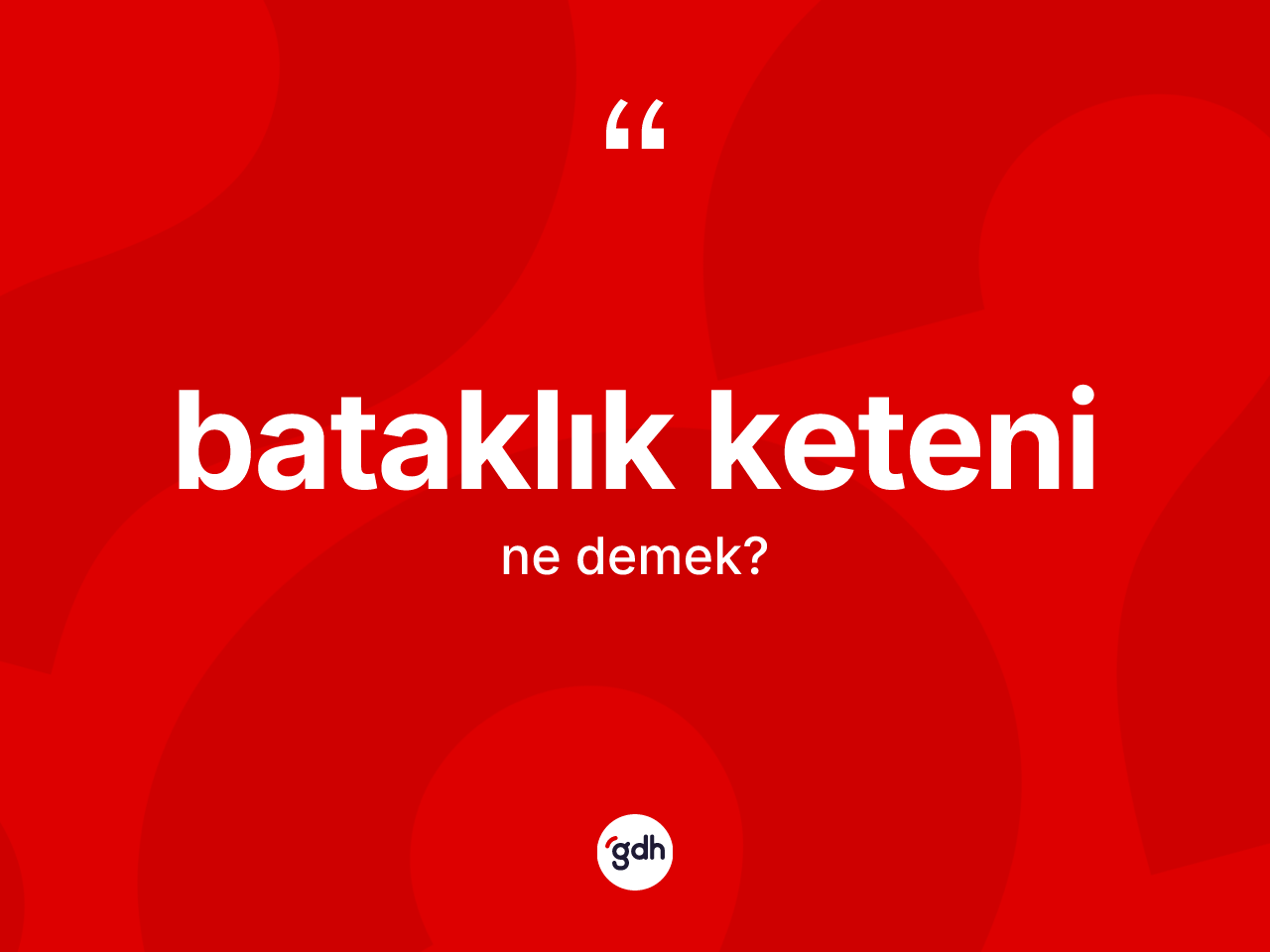 Bataklık keteni ne demek? Bataklık keteninin TDK'ya göre anlamı nedir?
