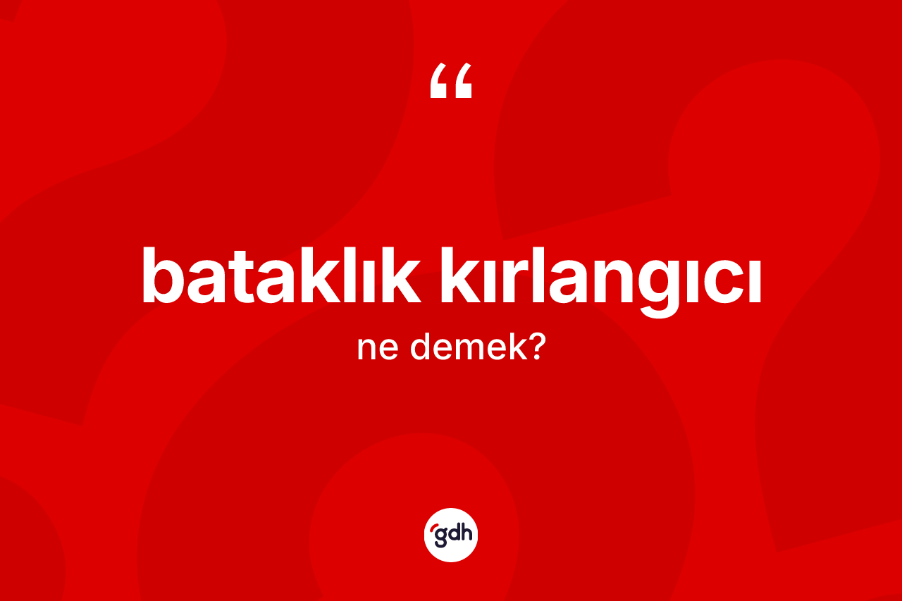 Bataklık kırlangıcı kelimesinin anlamı nedir? Bataklık kırlangıcının TDK'ya göre anlamı nedir?