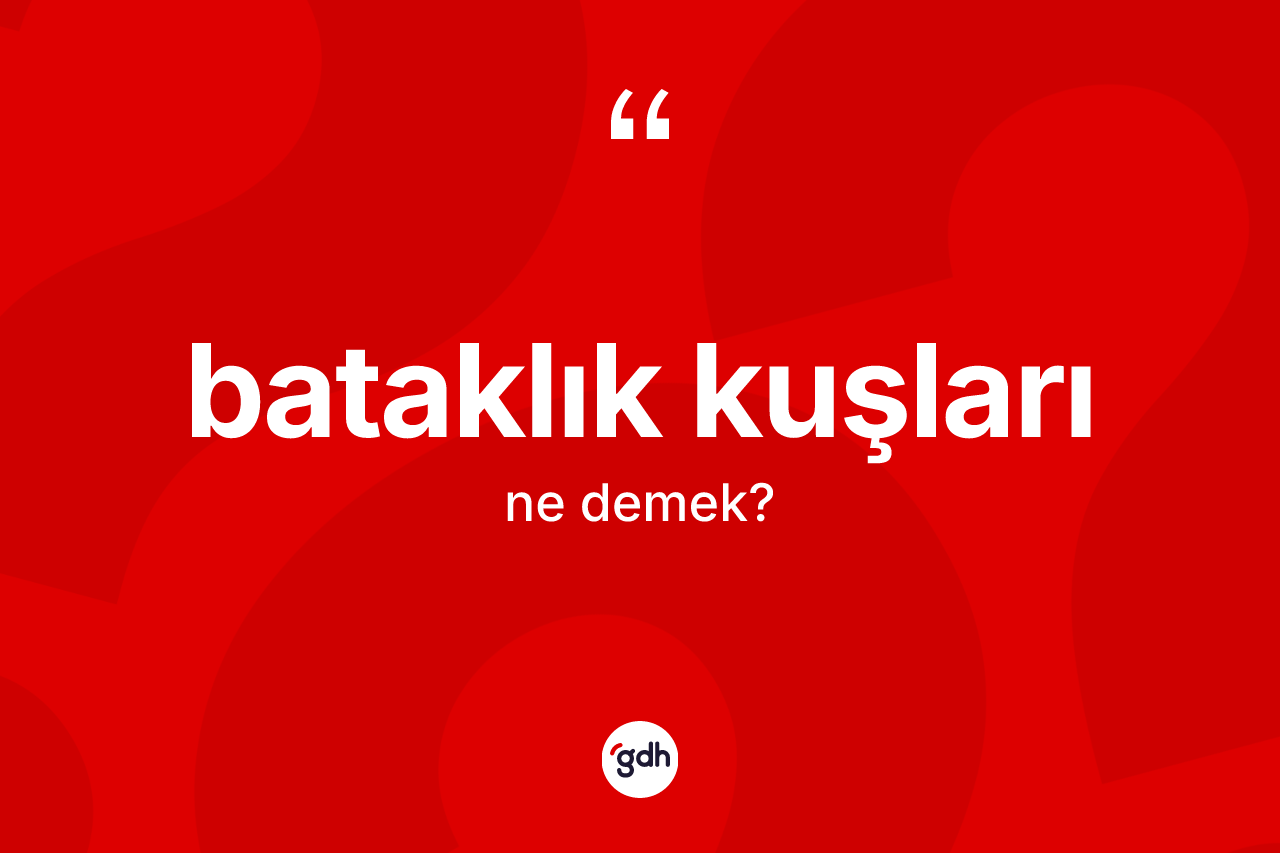 Bataklık kuşları kelimesinin tanımı nedir? Bataklık kuşları kelimesinin TDK anlamı nedir?