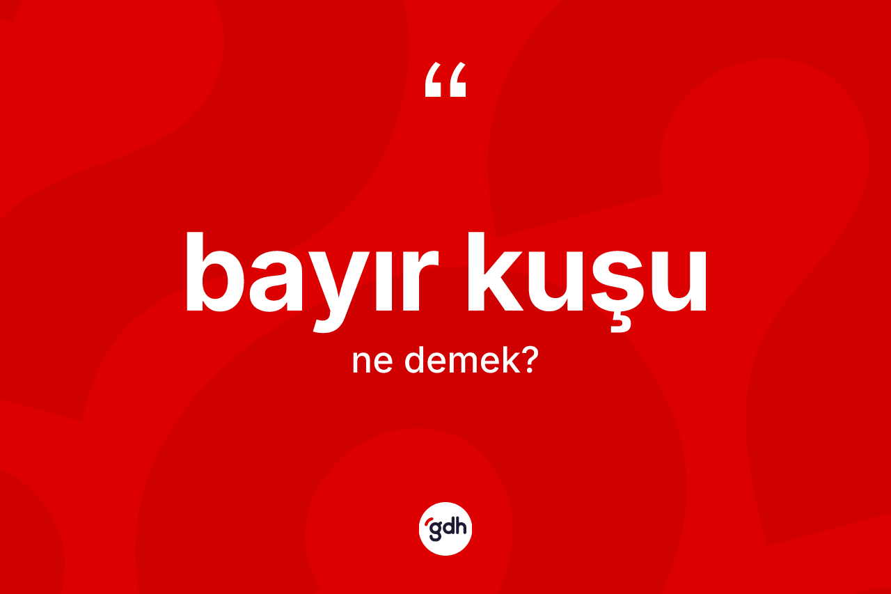 Bayır kuşu kelimesi ne demek? Bayır kuşunun halk arasındaki kullanımı nasıldır?