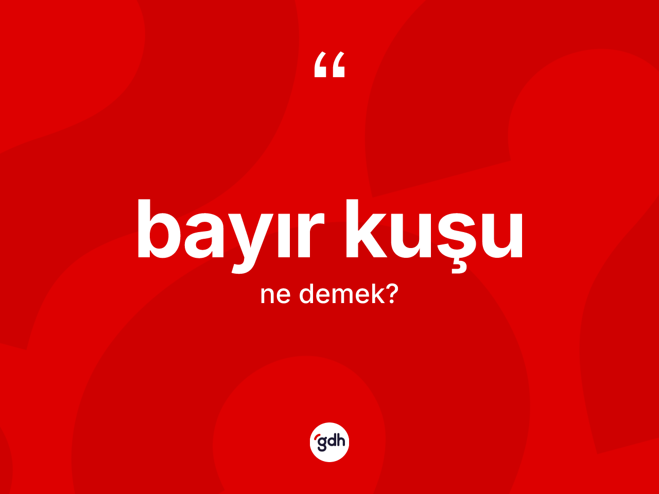 Bayır kuşu kelimesi ne demek? Bayır kuşunun halk arasındaki kullanımı nasıldır?