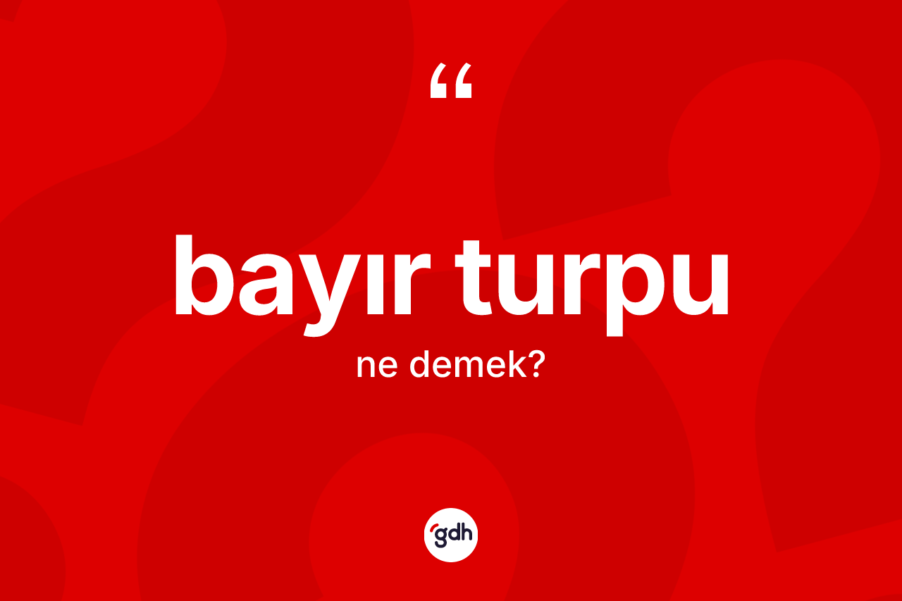 Bayır turpu nedir? Bayır turpunun sözlükteki anlamı nedir?