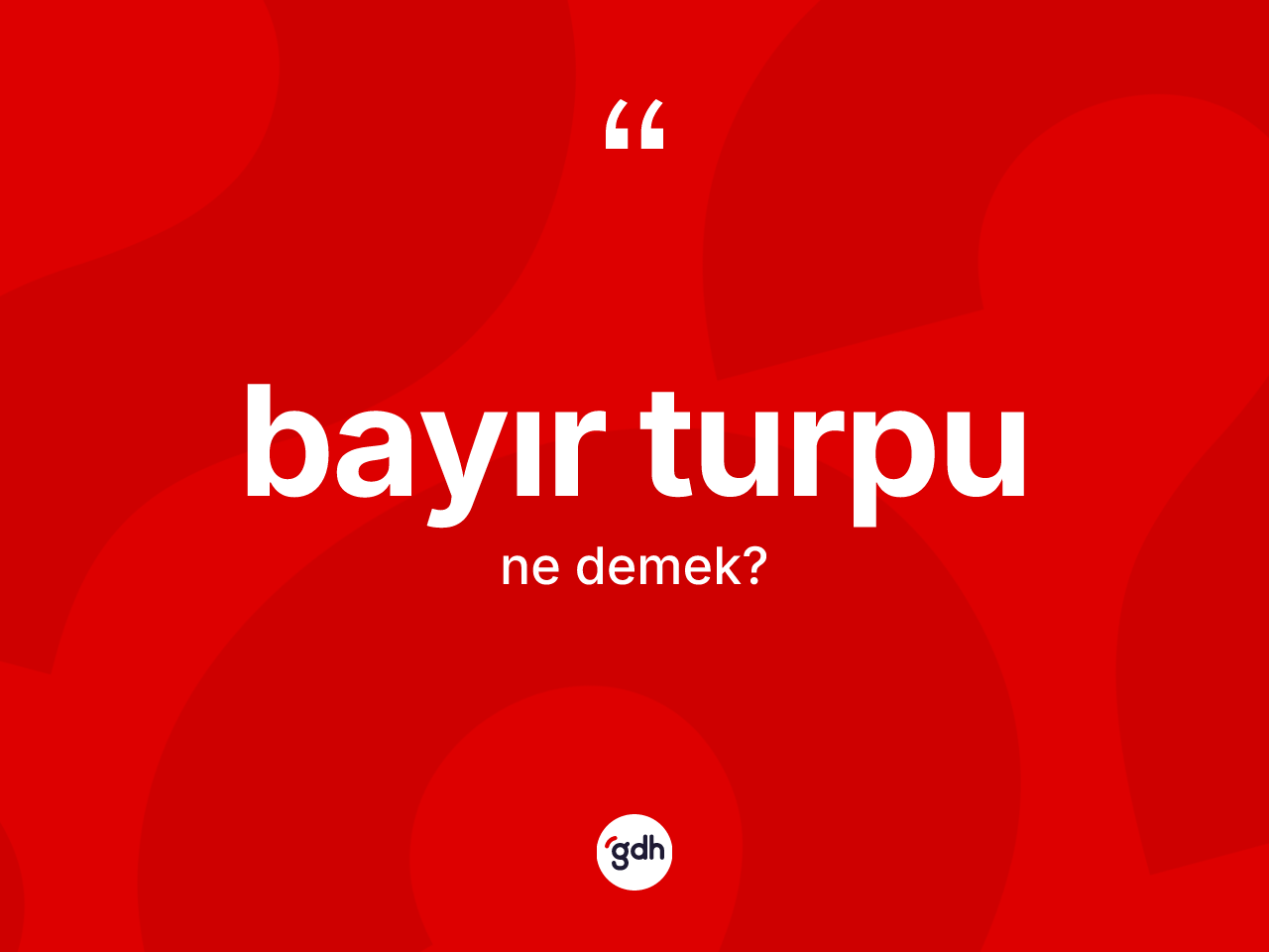 Bayır turpu nedir? Bayır turpunun sözlükteki anlamı nedir?