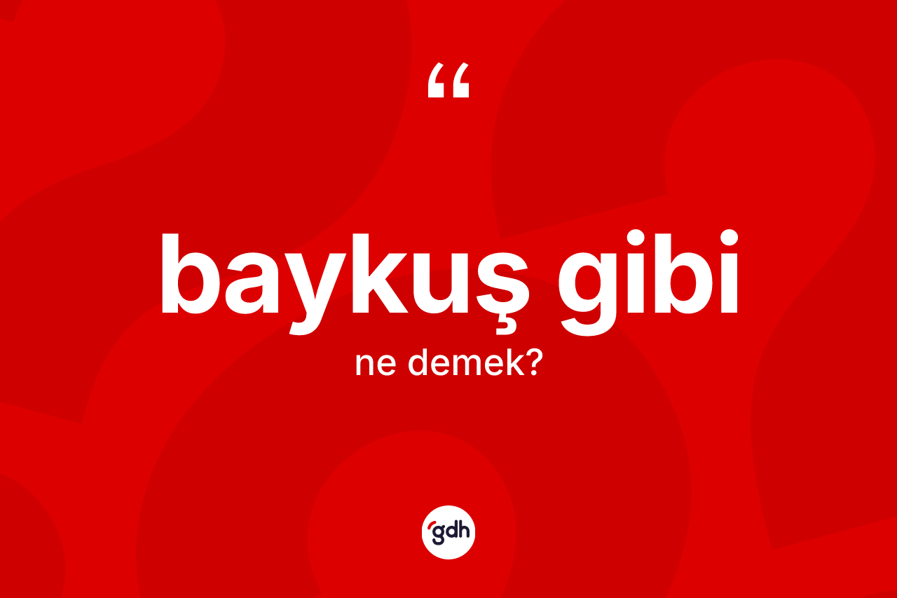 Baykuş gibi ifadesinin kısaca tanımı nedir? Baykuş gibi ifadesi nerede kullanılır?