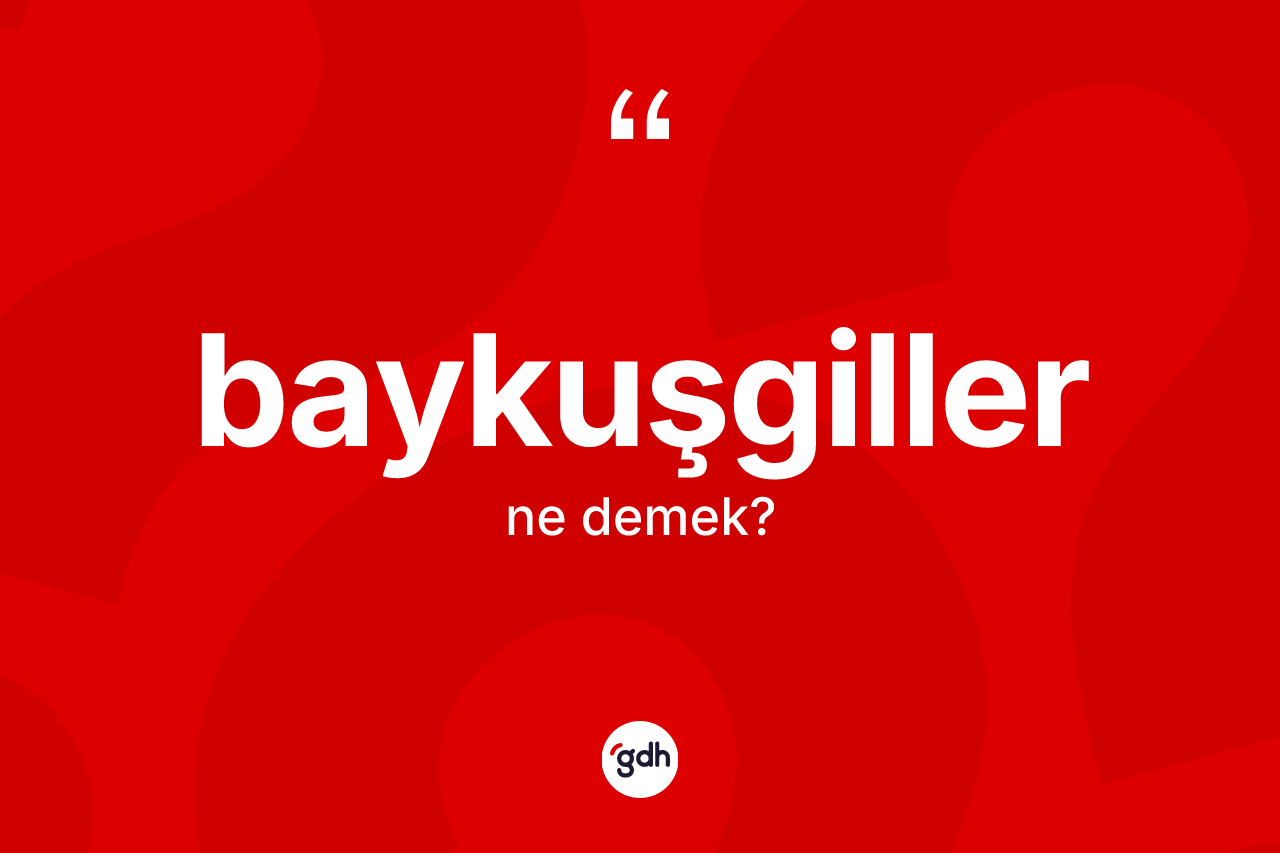 Baykuşgiller kelimesi ne anlama gelir? Baykuşgillerin halk arasındaki kullanımı nasıldır?