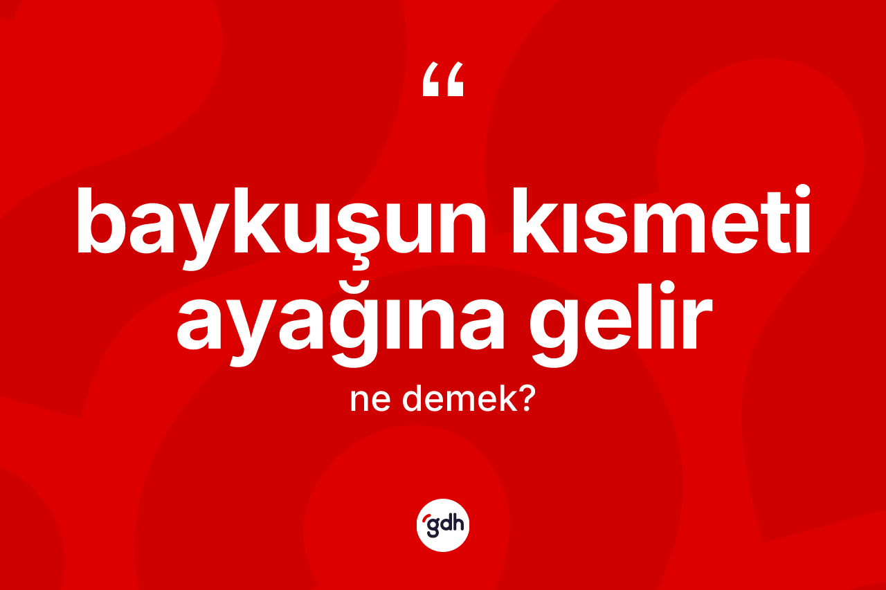 Baykuşun kısmeti ayağına gelir ifadesi ne anlama gelir?