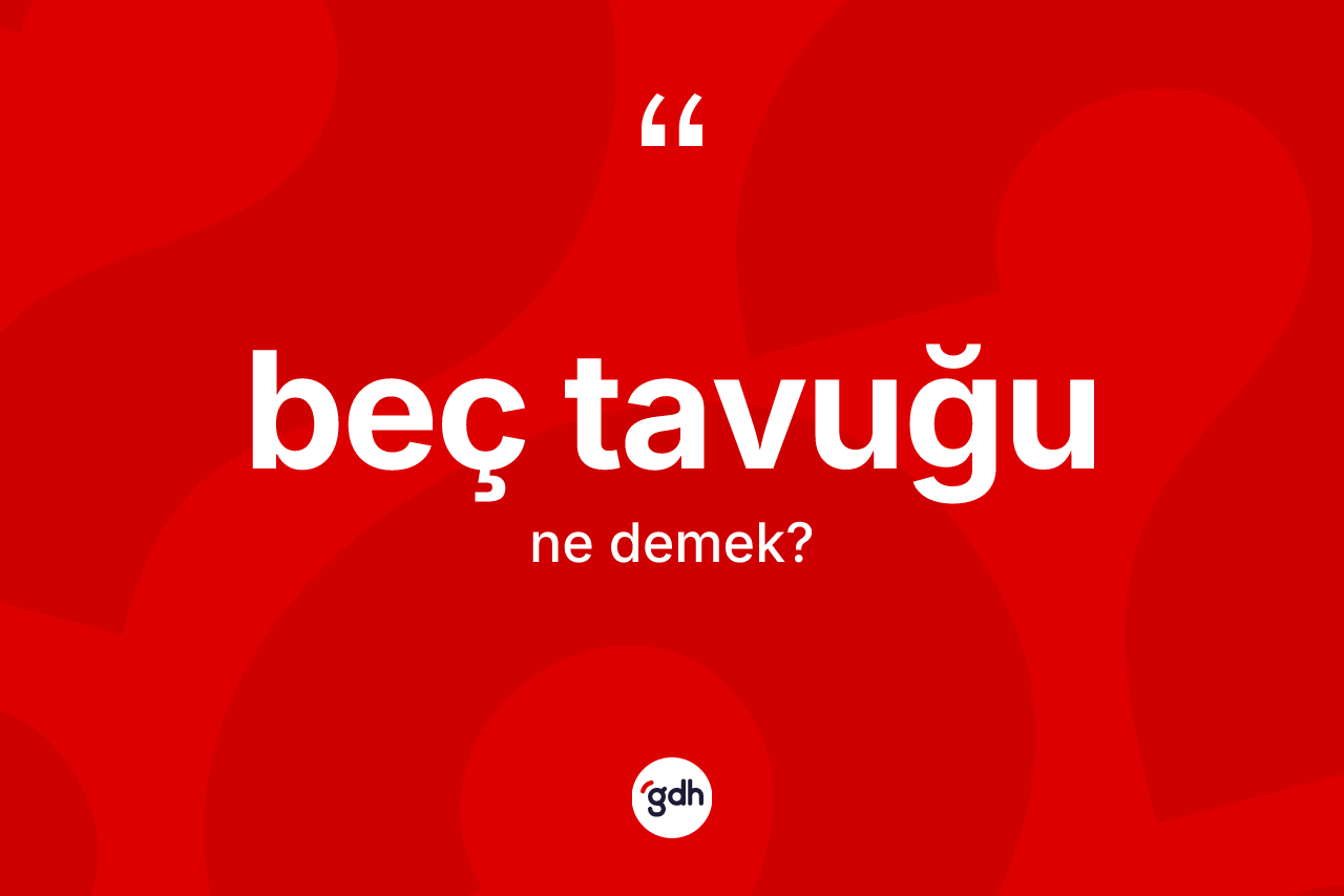 Beç tavuğu kelimesinin tanımı nedir? Beç tavuğunun halk arasındaki kullanımı nasıldır?