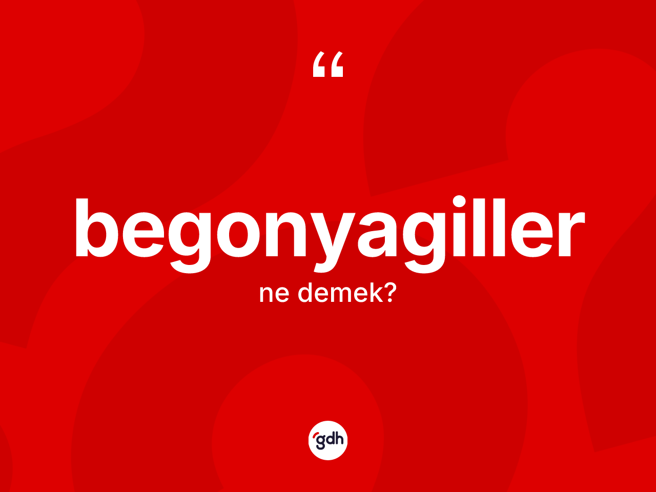 Begonyagiller kelimesi ne demek? Begonyagillerin TDK'ya göre anlamı nedir?