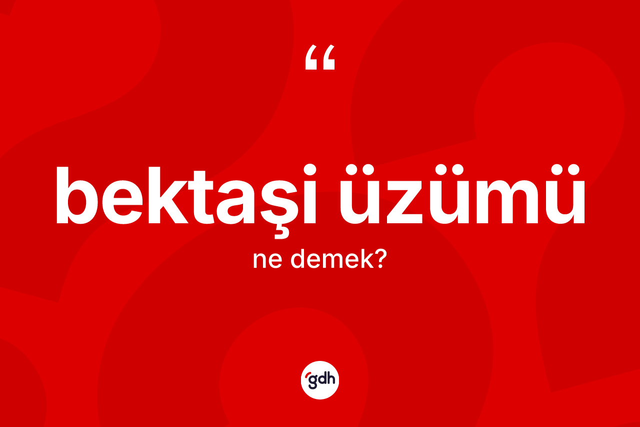 Bektaşi üzümü ne anlama gelir? Bektaşi üzümünün sözlükteki anlamı nedir?