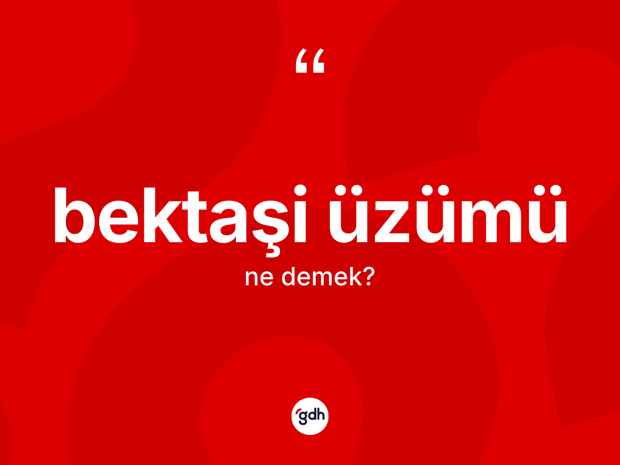 Bektaşi üzümü ne anlama gelir? Bektaşi üzümünün sözlükteki anlamı nedir?